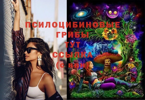 прущие крисы Нефтекумск