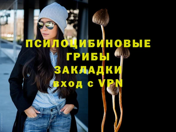 прущие крисы Нефтекумск